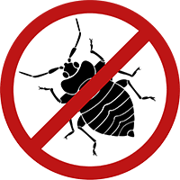 Unfortunately, often this can spread. Can Bed Bugs Come Back After Treatment Clegg S Pest Control