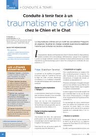 S06 la notion de traumatisme crânien ou traumatisme crânio cérébral (tcc) couvre les traumatismes. Pdf Conduite A Tenir Face A Un Traumatisme Cranien Chez Le Chien Et Le Chat