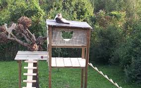 Für links auf dieser seite zahlt der händler ggf. Gartenparadies Fur Deine Katzen Die Katzengerechte Gestaltung Deines Gartens Verhaltensberatung Katze Katzenpsychologie