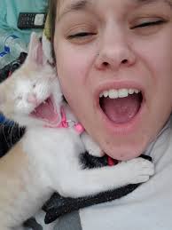 adopted** by Kelley Brittingham Alayna Wilhelm. Graduating from the Early  Childhood program but passionate about become a veterinarian. She also  completed four years of American Sign Language. She has reached for the