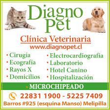 CLINICA VETERINARIA DIAGNOPET MELIPILLA