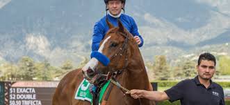 Monica thinks about getting married to richard. News Page 175 Of 469 Santa Anita Park