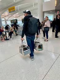 Jun 09, 2009 · issuing bank: Life On The Road Day 19 Flying With Our Two Cats From New York Usa To Europe Frankfurt Germany With Lufthansa