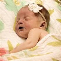 Baby Piper Jae Alexander Obituary