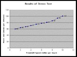 computational science experimental science