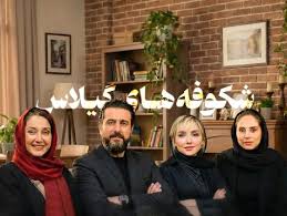 یک سریال دیگر از هدیه تهرانی/ خانم بازیگر دست پر بازمی گردد|تی وی پلاس