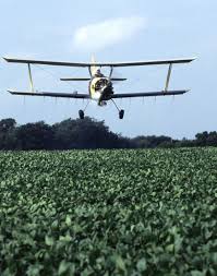 For example, the lygus bug are pest that feedson alfalfa and canola plants and causes severe. Pest Control Wikipedia