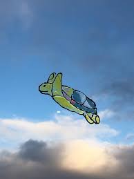 Shadows / shadows follow toward me as i wander / along the shoreline past the people / and i turn and walk away / house party / friends are dancing on the hill side. Phish Net Turtle In The Clouds