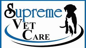 Offering pet grooming services for dogs and cats and pet grooming courses and classes. Svc Animal Clinic And Grooming Center Animal Hospital In San Fernando