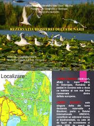 Este un labirint de lacuri și canale, ce șerpuiesc prin cea mai mare suprafață compactă de stuf din lume și este una dintre zonele cu cea mai mare. Delta Dunarii Ppt Final