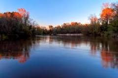 Image result