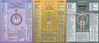 dosha set large vata pitta kapha chart package