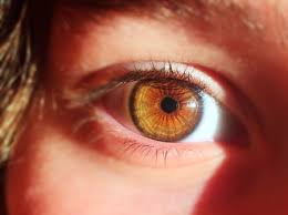 200 business park dr., suite 109. Han Creado Un Ojo Artificial Que Tiene La Misma Estructura Que Uno Biologico Y Que Ha Podido Ver