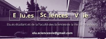 Faculté des sciences département de physique organisent séminaire mars 2021 second high energy physics graduate workshop. Elu Es Etudiant Es Faculte Des Sciences De La Vie Strasbourg Home Facebook