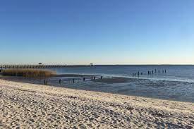 Ocean beach fire pits is situated northwest of doelger city. Mississippi Closes Beaches Because Of Toxic Algae Blooms The New York Times