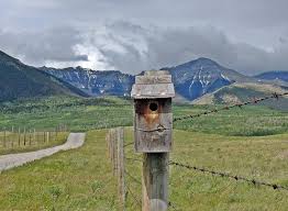 Check spelling or type a new query. Where To Place A Bluebird House The Best Location Bluebird Landlord