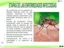 La asistencial, en primer lugar, la docente, tanto de pregrado como de posgrado, y la investigadora entre el hospital vall d'hebron y la universidad. Enfermedades Infecciosas Ppt Video Online Descargar