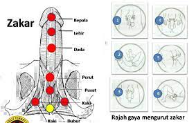 Cara mudah membesarkan alat vital dengan daun kemangi. Cara Urut Zakar 69 Group Photos Facebook
