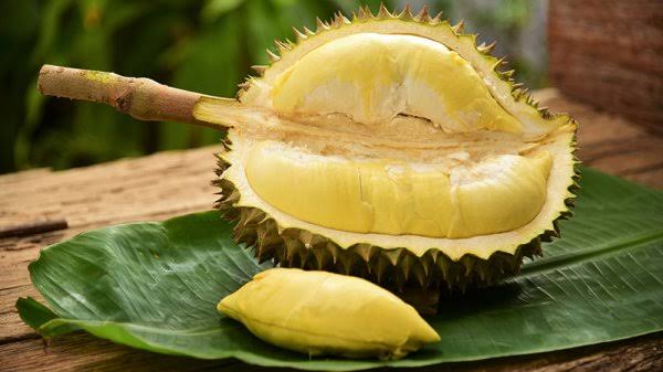 durian meyvesi ile ilgili görsel sonucu"