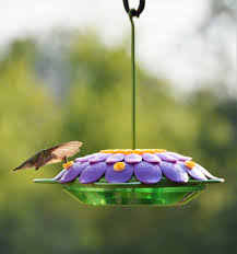Are there substitutes for sugar in hummingbird food? Homemade Hummingbird Nectar Recipe Natureswaybirds Com