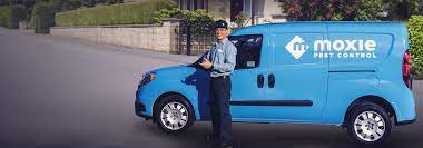 Fischer's pest control specializes in ant prevention, bark scorpion extermination, bee removal, insect control, las vegas bed bug removal, pigeon control, rat control, spider pest control and termite inspections. Meet The New Face Of Moxie Moxie Pest Control