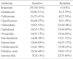 Image result for Staphylococcus Saprophyticus