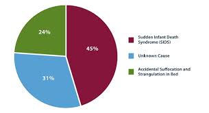 Sids Statistics Ag Scientific Blog