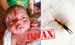 Sebelumnya, perlu diketahui bahwa hewan ini biasa ditemukan di daerah persawahan, ladang. Lnss Archives The Rojak Pot