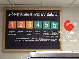 They are eye catching, nutritious and delicious. Fixed This Whole Foods Bs Vegan