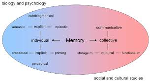There Are Different Types Of Memory Fact Or Myth