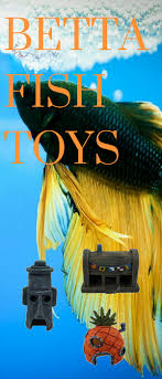 Meyda tiffany fly fishing creek single panel fireplace screen 37739. 13 Best Betta Fish Accessories You Can Get For Your Bettas Aquarium Online Store