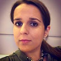 The Sett by Ranulph Fiennes