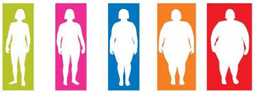 what is body mass index bmi body mass index