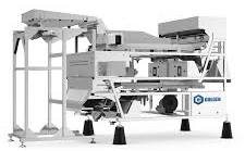 Garlic Color Sorter Machine