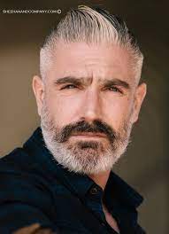 image result for daniel sheehan model graue haare manner barte und haare haarschnitt