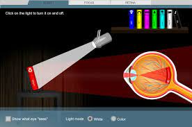This quest of gastronomic wonder is so much more than just another science book for kids! Eyes And Vision 1 Seeing Color Gizmo Lesson Info Explorelearning