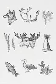 Download Premium Illustration Of Animal Drawing Gray Scale Set