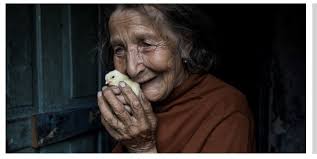 Exhibitions/Talks/Presentations