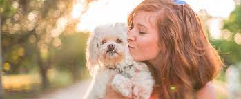 Check spelling or type a new query. Veterinary Financing Carecredit