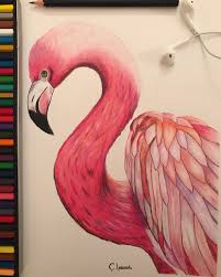 Resim Art Drawing Sanat Pencil Kurukalem Draw Colorpencil Cizim Cizim Drawing Flamingo