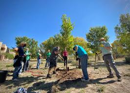 Get reviews, hours, directions, coupons and more for volunteer tree service. Home Tree New Mexico