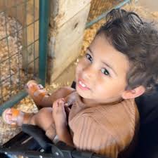 Ryan Vayda's Instagram, Twitter & Facebook