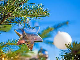 Image result for Star on Pine Jigsaw Puzzle