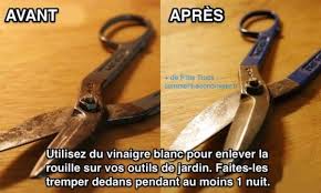 We did not find results for: Astuce Maison Du Jour Enlever La Rouille D Un Objt Metallique Zeinelle Magazine