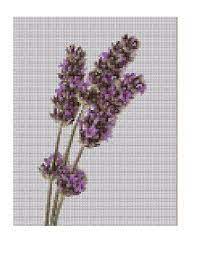 Buy Lavender Cross Stitch Lavender Crafts Lavender Plant Potted Lavender