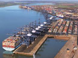 根基穩固循序發展