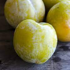 Organic Emerald Beaut Plums In 2021 Fruit Organic Fruit Plum Organics