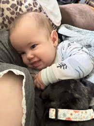 My beautiful CAVA/JACK Muffin 13 weeks old puppy 🐶absolutely love her as  much as my own children and I have 3 daughters ❤💕