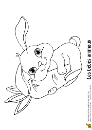 Petit lapin et une carotte. Coloriage Bebe Lapin