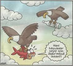 Vedii Yukaruc Adli Kullanicinin Cizgilerle Hayvanlar Alemi Panosundaki Pin Karikatur Komik Seyler Komik
